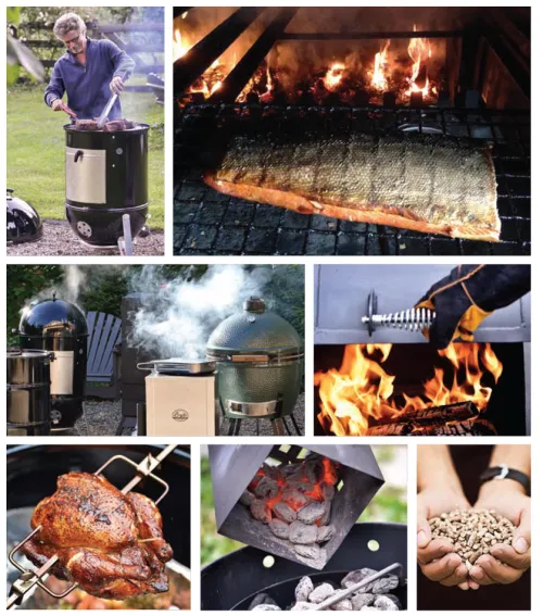 Ullmann Medien GmbH Grillparty & Picknick*Steven Raichlens Smoker Bible