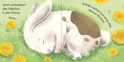 Kinder Usborne Verlag 0-3 Jahre-Streichle das kleine Häschen
