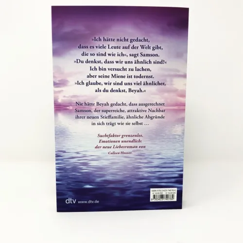 dtv Verlagsgesellschaft Romane & Erzählungen|Liebesromane*Summer of Hearts and Souls