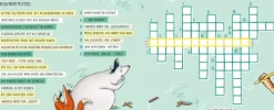Superfreunde - Das Freundebuch*Edition Michael Fischer New