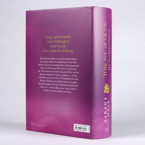 dtv Verlagsgesellschaft Young Adult|Liebesromane*Throne of Glass - Die Sturmbezwingerin