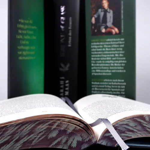 Throne of Glass - Erbin des Feuers*dtv Verlagsgesellschaft Sale