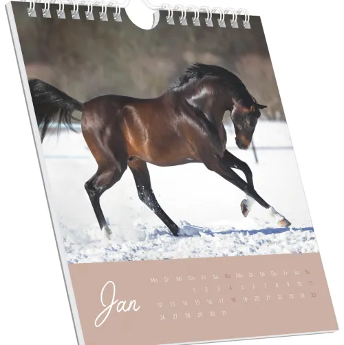 Traumpferde 2026 - Postkartenkalender 16x17 cm - Horses - zum Aufstellen oder Aufhängen - Monatskalendarium - Gadget - Mitbringsel - Alpha Edition*Neumann Verlage GmbH & Co Hot