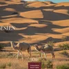 Tunesien Kalender 2026 - Wandkalender | Fotokalender Afrika 24x35 cm: Hochwertige Fotos, die die Kultur, Landschaften und Sehenswürdigkeiten Tunesiens zeigen.*Casares Fine Art Edition New