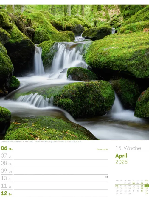 Ackermann Kunstverlag Wochenkalender-Unser Wald Wochenplaner Kalender 2026