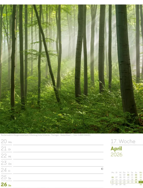 Ackermann Kunstverlag Wochenkalender-Unser Wald Wochenplaner Kalender 2026