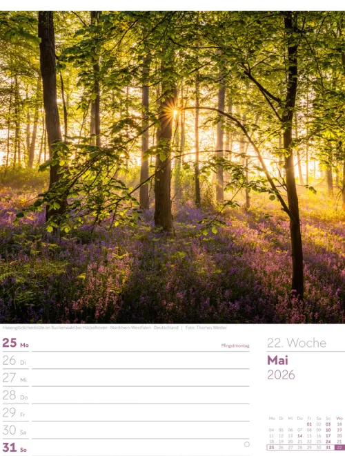 Ackermann Kunstverlag Wochenkalender-Unser Wald Wochenplaner Kalender 2026