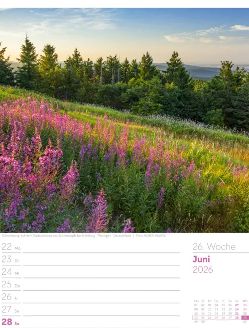 Ackermann Kunstverlag Wochenkalender-Unser Wald Wochenplaner Kalender 2026