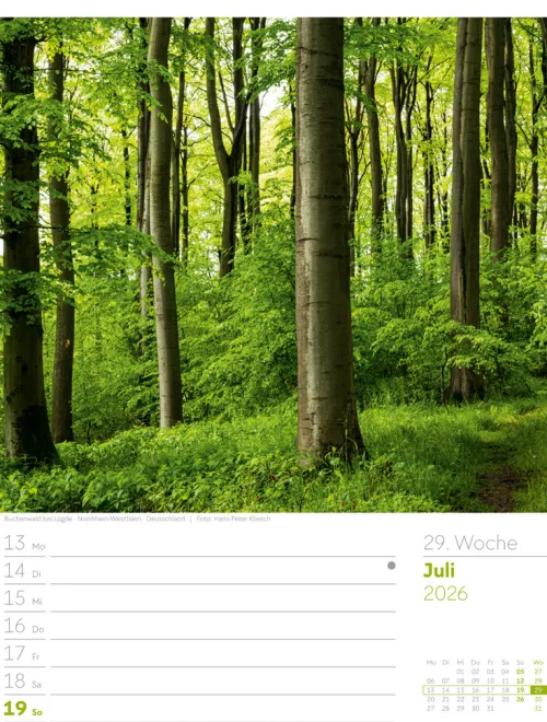 Ackermann Kunstverlag Wochenkalender-Unser Wald Wochenplaner Kalender 2026