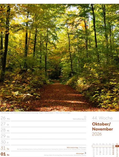 Ackermann Kunstverlag Wochenkalender-Unser Wald Wochenplaner Kalender 2026