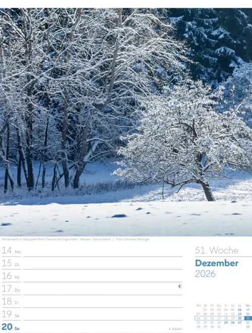 Ackermann Kunstverlag Wochenkalender-Unser Wald Wochenplaner Kalender 2026