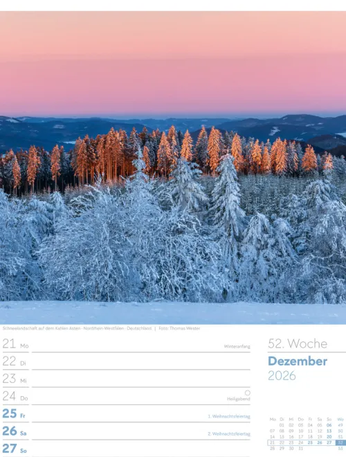 Ackermann Kunstverlag Wochenkalender-Unser Wald Wochenplaner Kalender 2026