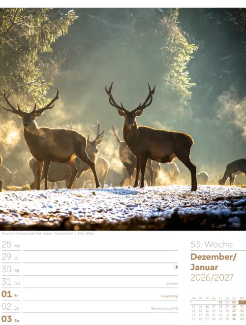 Ackermann Kunstverlag Wochenkalender-Unser Wald Wochenplaner Kalender 2026