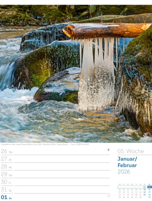 Ackermann Kunstverlag Wochenkalender-Unser Wald Wochenplaner Kalender 2026