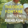 Aufbau Digital Klassiker*Unterm Birnbaum