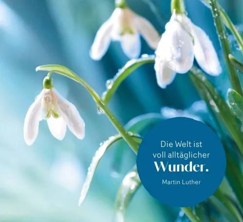 Groh Verlag Mut & Motivation*Wahre Stärke kommt von innen