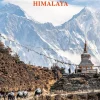 Gestalten Reisen, Orte & Menschen-Wanderlust Himalaya