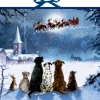 Coppenrath Wandkalender-Wandkalender - Wunderbare Hunde-Weihnacht