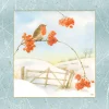 Coppenrath Wandkalender*Wandkalender Wintermorgen mit Rotkehlchen