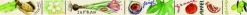 Washi Tapes Set Bibel, 4 verschiedene Rollen*Katholisches Bibelwerk Outlet