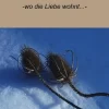 neobooks Märchen & Sagen*Weihnachtswunsch der kleinen Julia