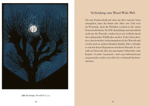 Ludwig Verlag Weisheiten*Weisheiten aus 'Das geheime Leben der Bäume'