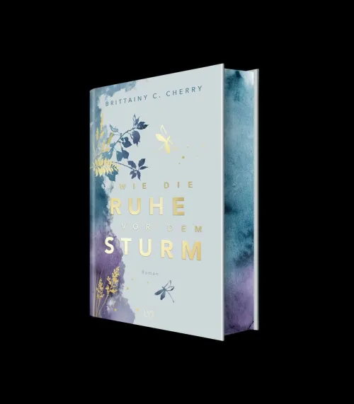 Wie die Ruhe vor dem Sturm: Special Edition*LYX Outlet