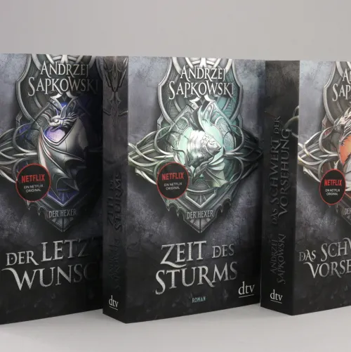 dtv Verlagsgesellschaft High Fantasy*Zeit des Sturms