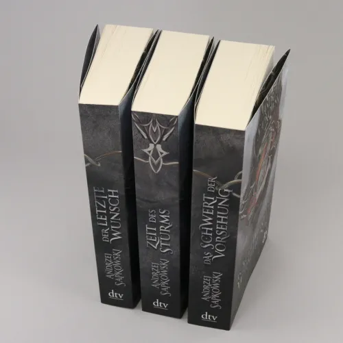 dtv Verlagsgesellschaft High Fantasy*Zeit des Sturms